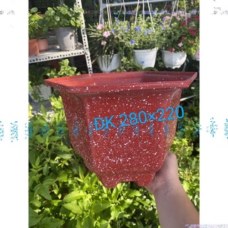 Chậu nhựa lục giác mai giả đá