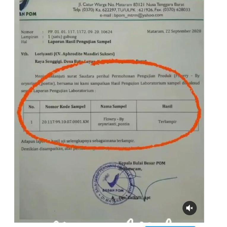 Mô hình nhân vật FLOWRY 58 | BigBuy360 - bigbuy360.vn