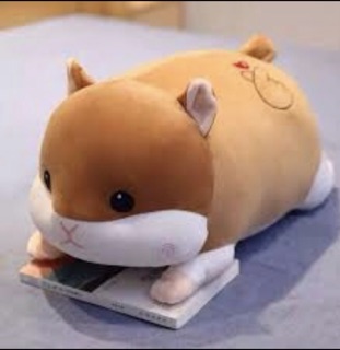 GẤU BÔNG CHUỘT HAMSTER (Kèm Ảnh Thật)