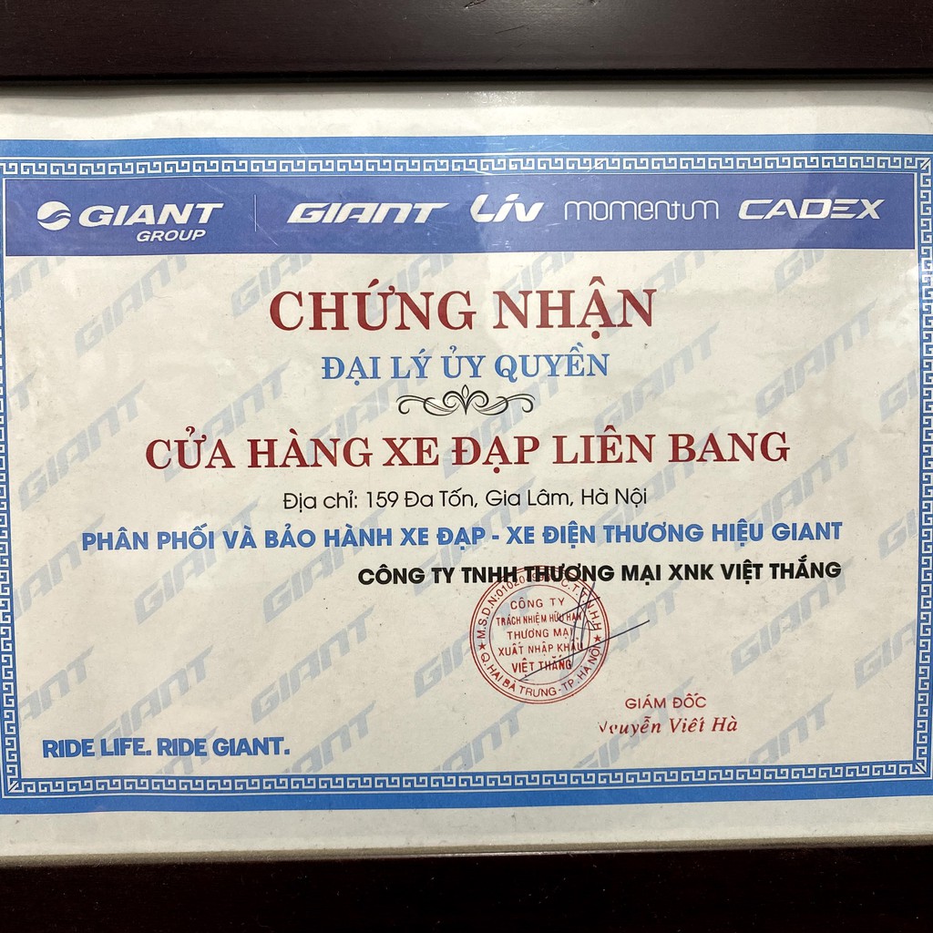 Áo xe đạp dài tay Giant