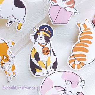 Bullet journal sticker - set sticker mèo