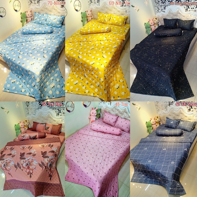 Bộ Hè 5 Món Chăn Ga Gối Và Ôm 2m2 ( được chọn mẫu)