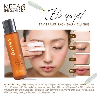 TẨY TRANG DAISY HOA CÚC