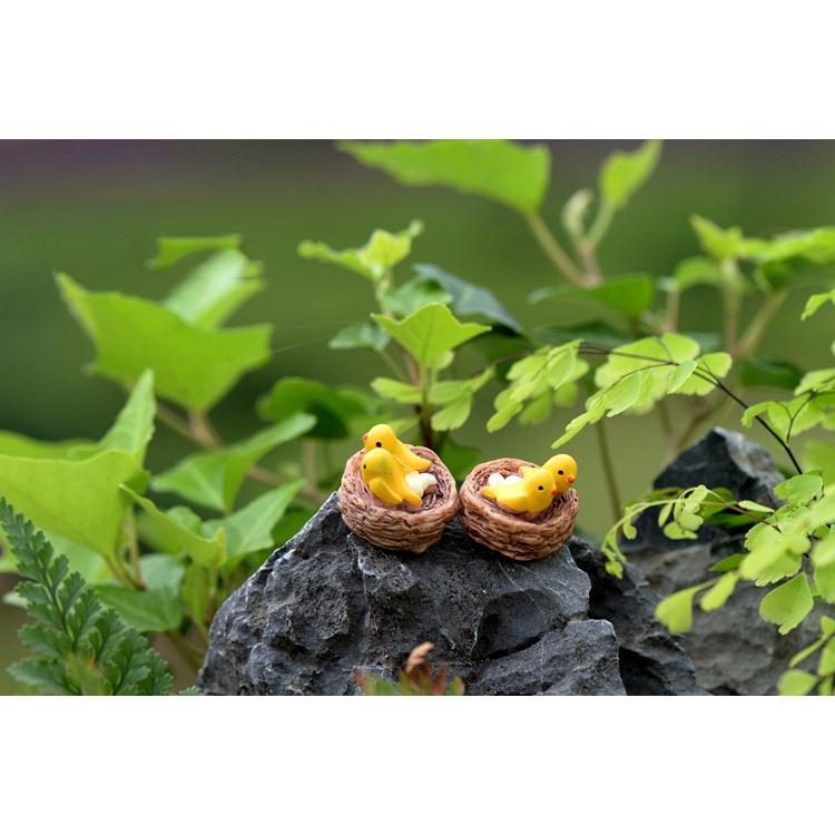Tiểu cảnh mini ❤️H052 ❤️ Tổ chim mini trang trí tiểu cảnh, sen đá, terrarium
