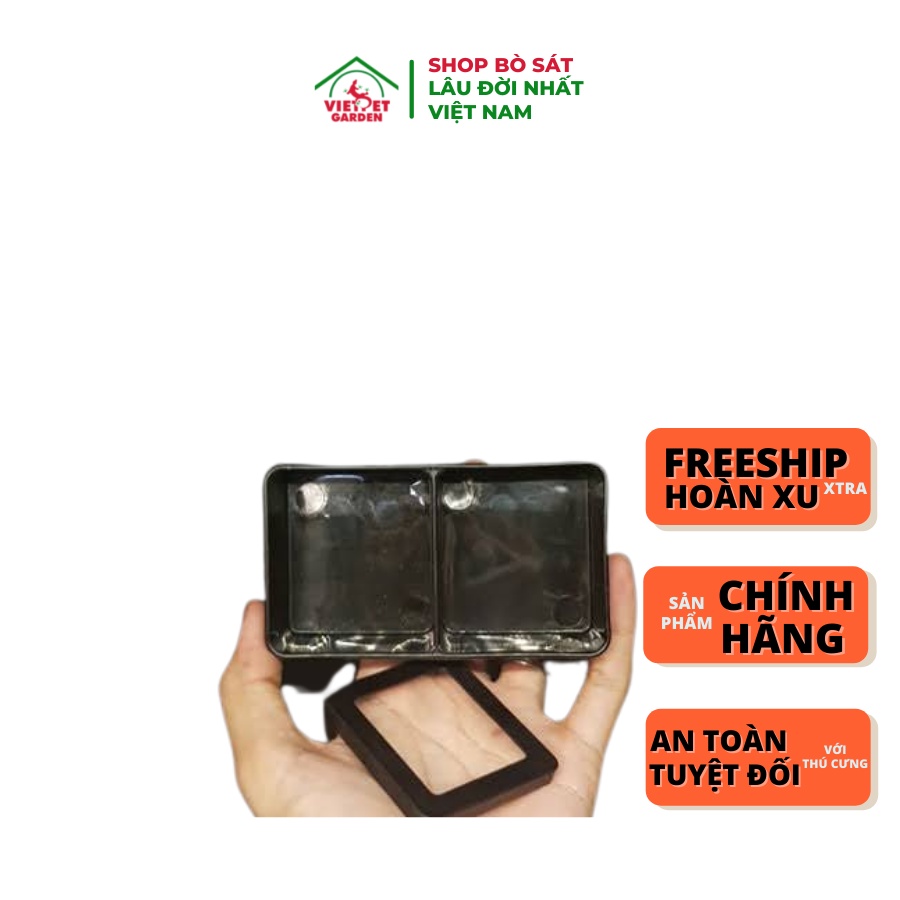 Máng ăn nhựa đôi cho bò sát và thú cưng | Vietpetgarden