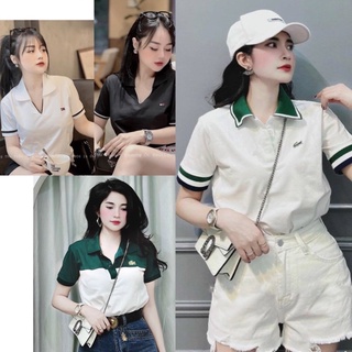 Áo polo nữ, áo thun polo nữ chất vải poly cá sấu