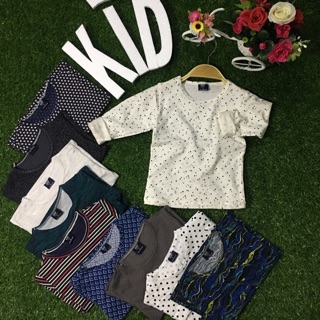 Combo 10 áo - 230k