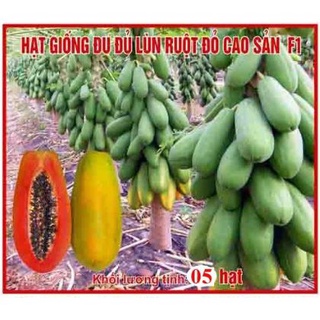 Hạt giống đu đủ lùn ruột đỏ trái lớn 5 hạt