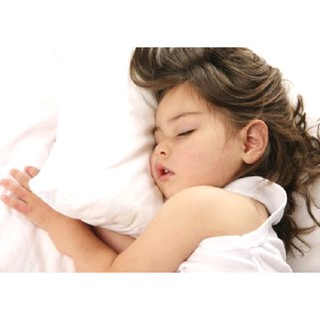 Gối Đinh lăng em bé cao cấp