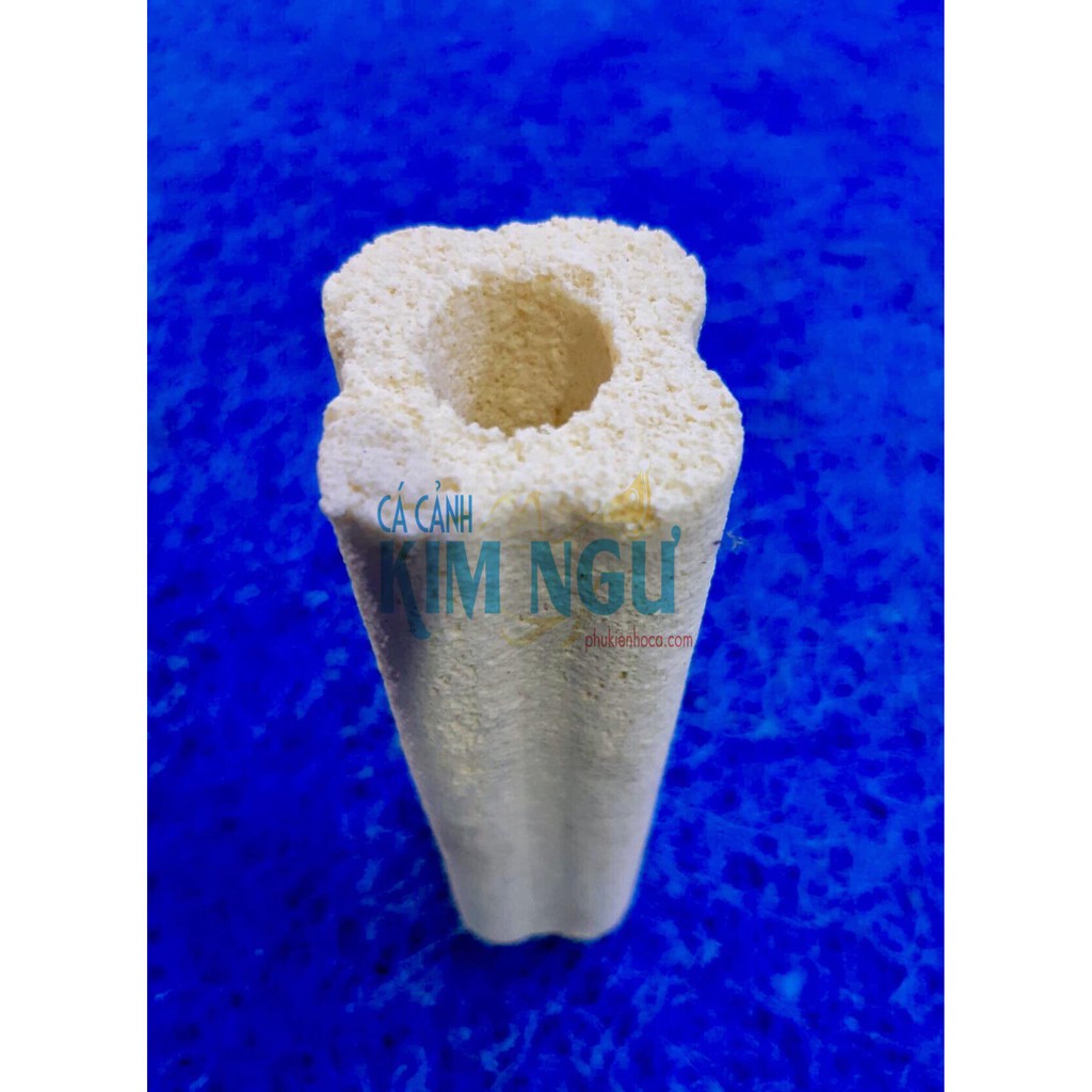 Sứ Thanh Hoa Mai Vàng Lọc Nước Hồ Cá 15*3.5*3.5 cm