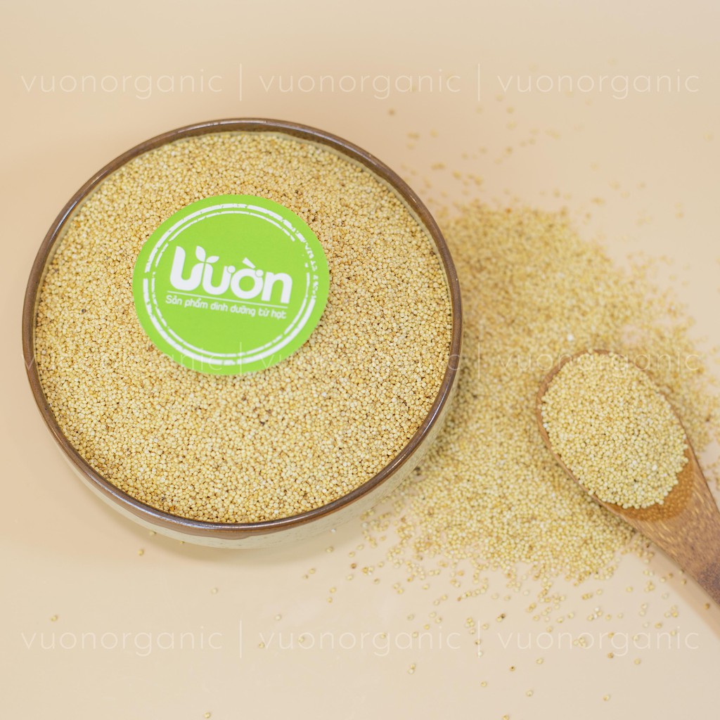 HẠT KÊ NẾP VÀNG HỮU CƠ NAM ĐỊNH , ĐÃ BÓC VỎ, THUẦN CHỦNG - VƯỜN ORGANIC 500GR