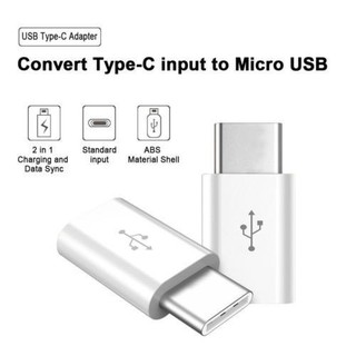 Jack chuyển, Đầu chuyển đổi micro sang Type C, lightning