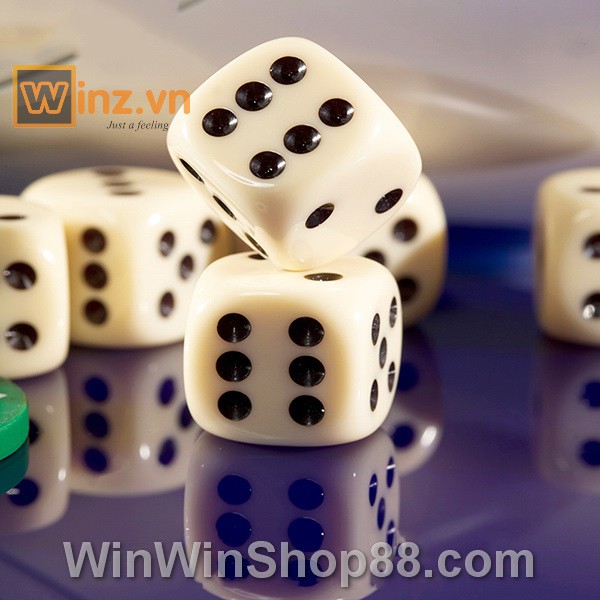 Combo 2 Bộ 6 Xúc Xắc Xí Ngầu Chất Lượng Cao - Winz.vn