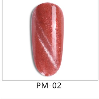 Sơn gel mắt mèo AS  mã PM chai 15ml