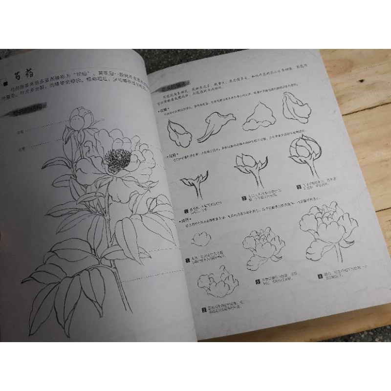 Artbook dạy vẽ thư pháp