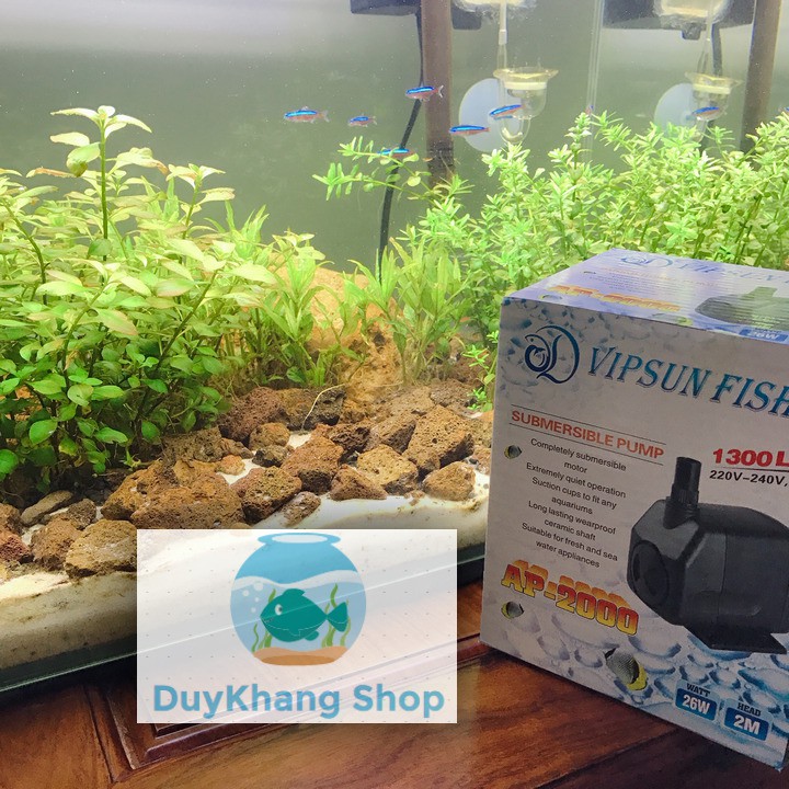 Máy bơm, Máy Lọc Nước LifeTech, Vipsun AP 2000 26W Cho Hồ Cá Cảnh, Hệ Thống aquabonics