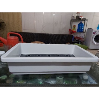 chậu trồng rau chữ nhật màu trắng 68 x 42 x 15cm