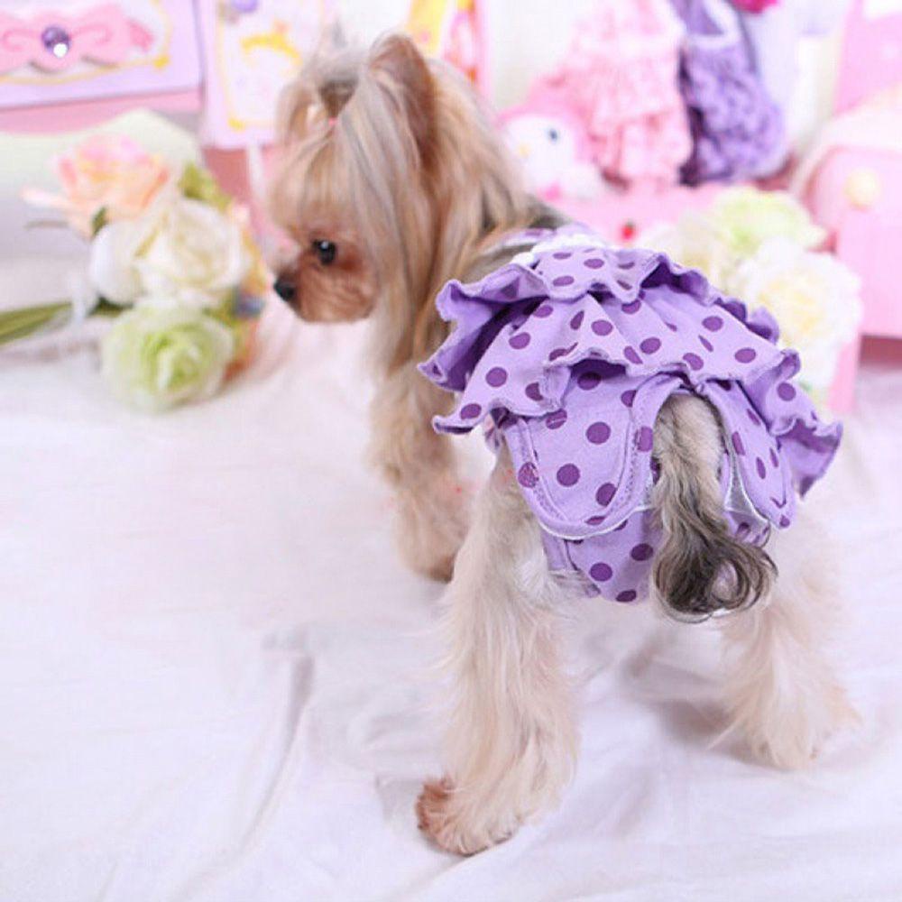 Quần Lót Họa Tiết Chấm Bi Xinh Xắn Cho Thú Cưng