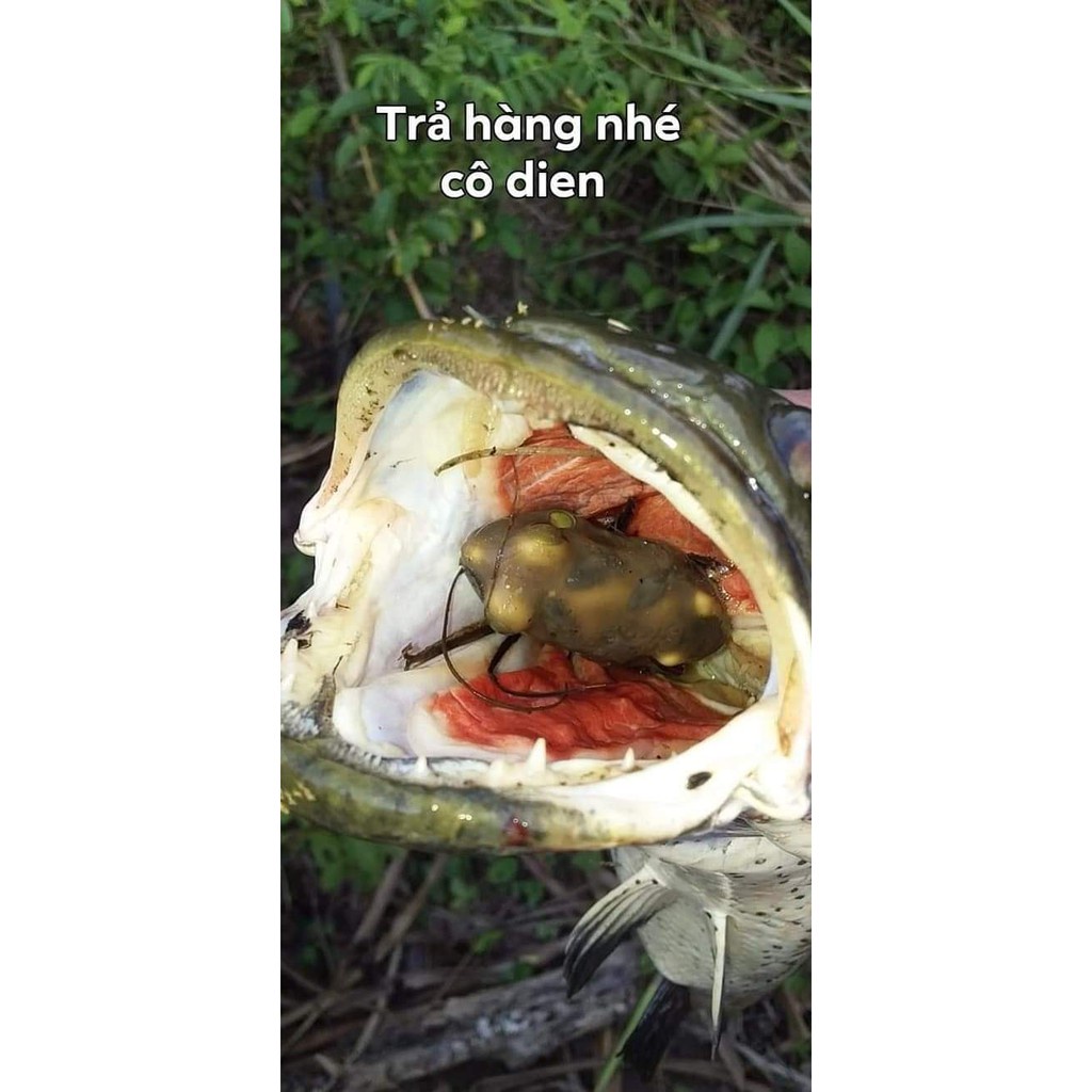 Nhái hơi câu cá lóc siêu nhạy. Frogtoon V4 8g, 10g