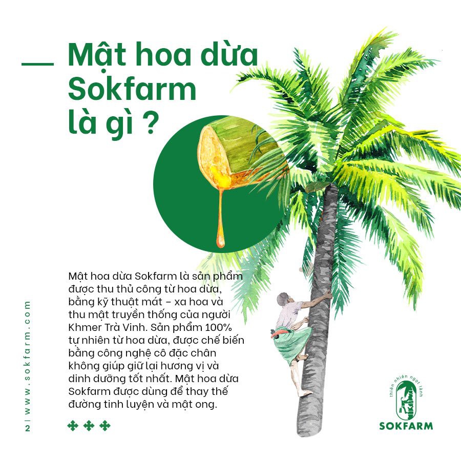 Mật Hoa Dừa SOKFARM 65g/250g - Thuần chay, đường huyết thấp, tăng đề kháng, bù điện giải, bổ sung khoáng chất