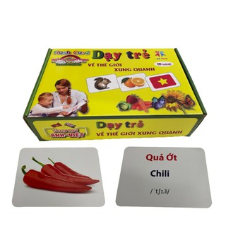 Bộ Thẻ Học Thông Minh 19 Chủ Đề Loại To Song ngữ tiếng Anh loại chuẩn Glenn Doman Flashcard cho bé từ 0-6 tuổi