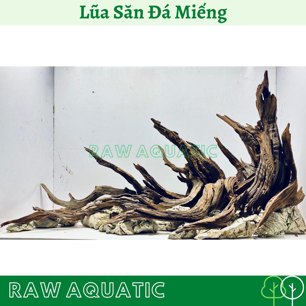 Lũa Săn Đá Miếng Trang Trí, Setup Bể Cá Cảnh, Bể Thủy Sinh