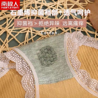 SET 10 QUẦN CHIP VIỀN REN ( Cotton co dãn )