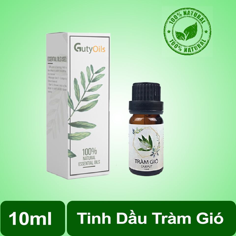 Tinh dầu tràm gió nguyên chất GUTY  ( Cajeput Essense Oil ) Lọ 10ml