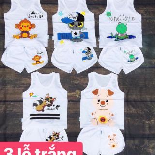Combo 25 bộ ba lỗ quần đùi cho bé