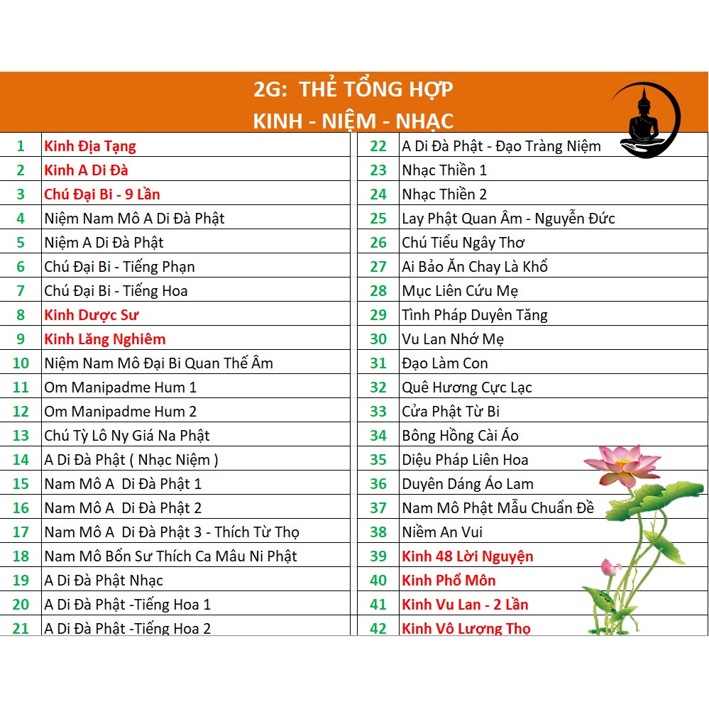 Máy Niệm Phật CR25a BTU - Tụng Kinh Sử Dụng THẺ NHỚ (Lưu ý Máy và Thẻ Nhớ Phân Loại Bán Riêng)