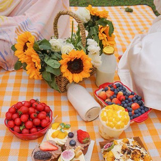 Thảm picnic - Thảm dã ngoại