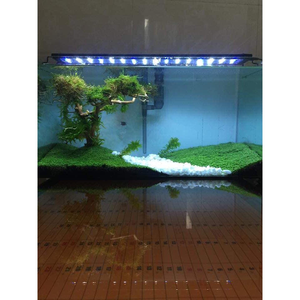 ComboCombo phân nền và gói hạt trân châu ngọc trai