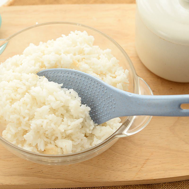 Thìa xới cơm lúa mạch an toàn cho sức khỏe 1600 tổng kho sỉ vp88