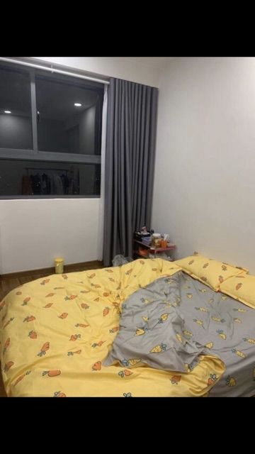 Bộ vỏ chăn ga gối Cotton Poly mẫu Cà Rốt vàng xám | BigBuy360 - bigbuy360.vn