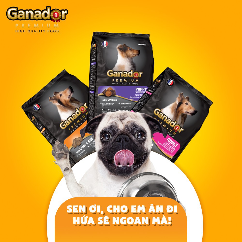 Thức Ăn Hạt Khô Ganador Cho Chó Con, Chó Lớn 400g - Lida Pet Shop