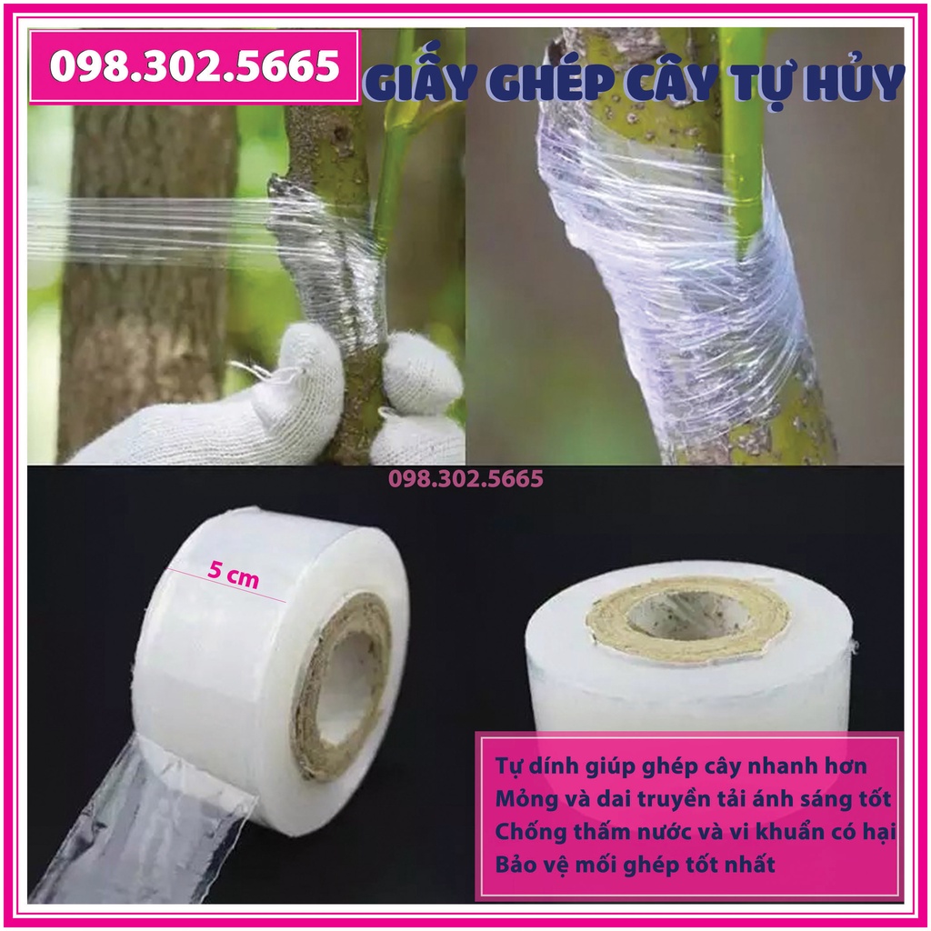 Combo dụng cụ chiết ghép cây gồm dao ghep và giấy ghép tự huỷ