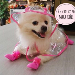 Áo mưa cho chó mèo