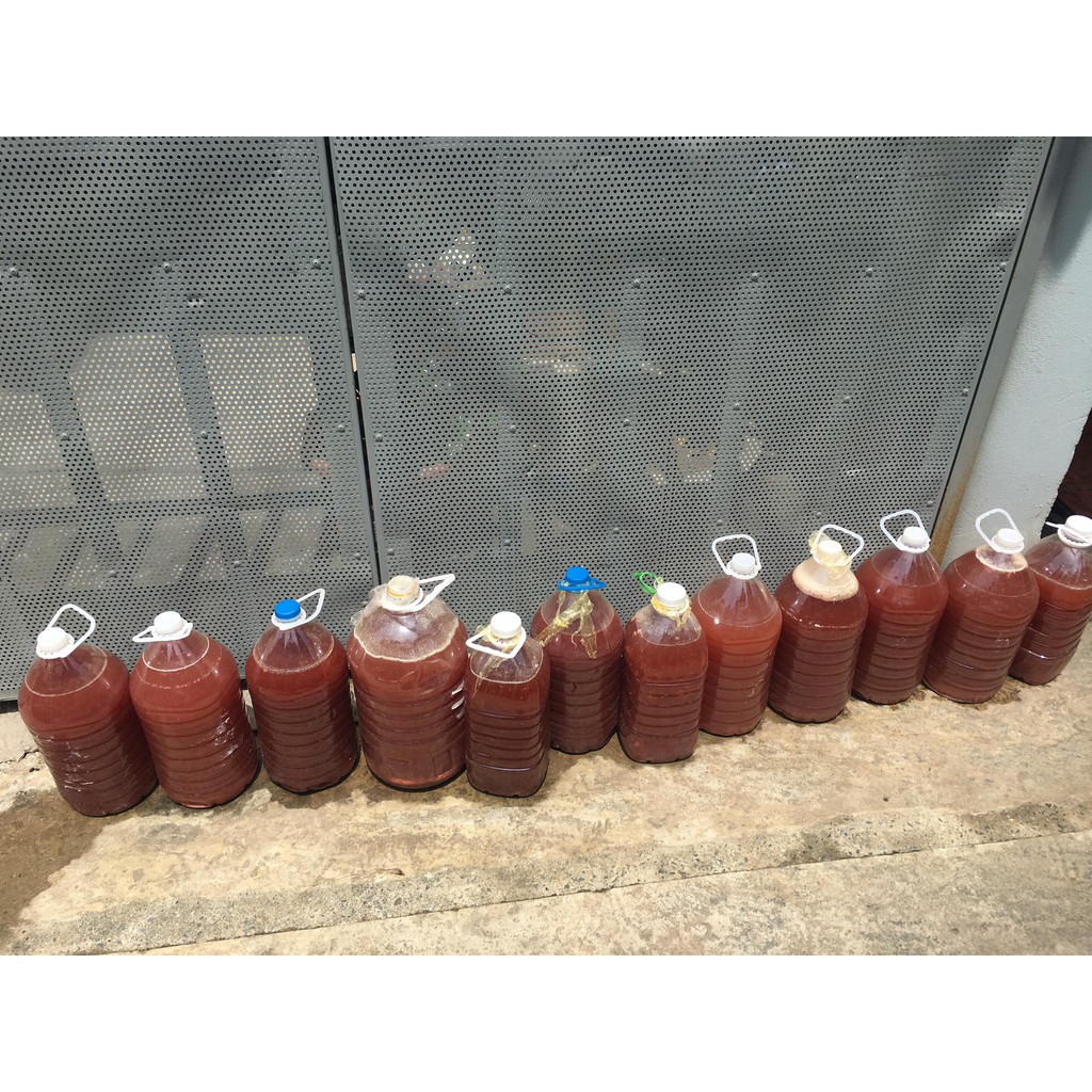 Vi sinh PSB- 1,5 Lít