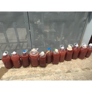 Vi sinh psb- 1,5 lít