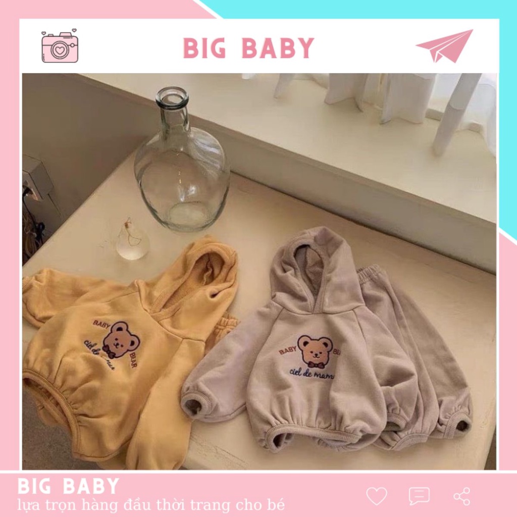 Bộ Hoodie Thu Đông Dài Tay Chất Nỉ Lót Bông Cho Bé Trai Bé Gái Từ 5-28kg Bing Baby