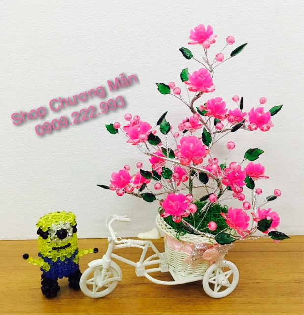 Hoa Pha Lê Nhựa Trong Chiếc Xe Đạp Thơ Mộng