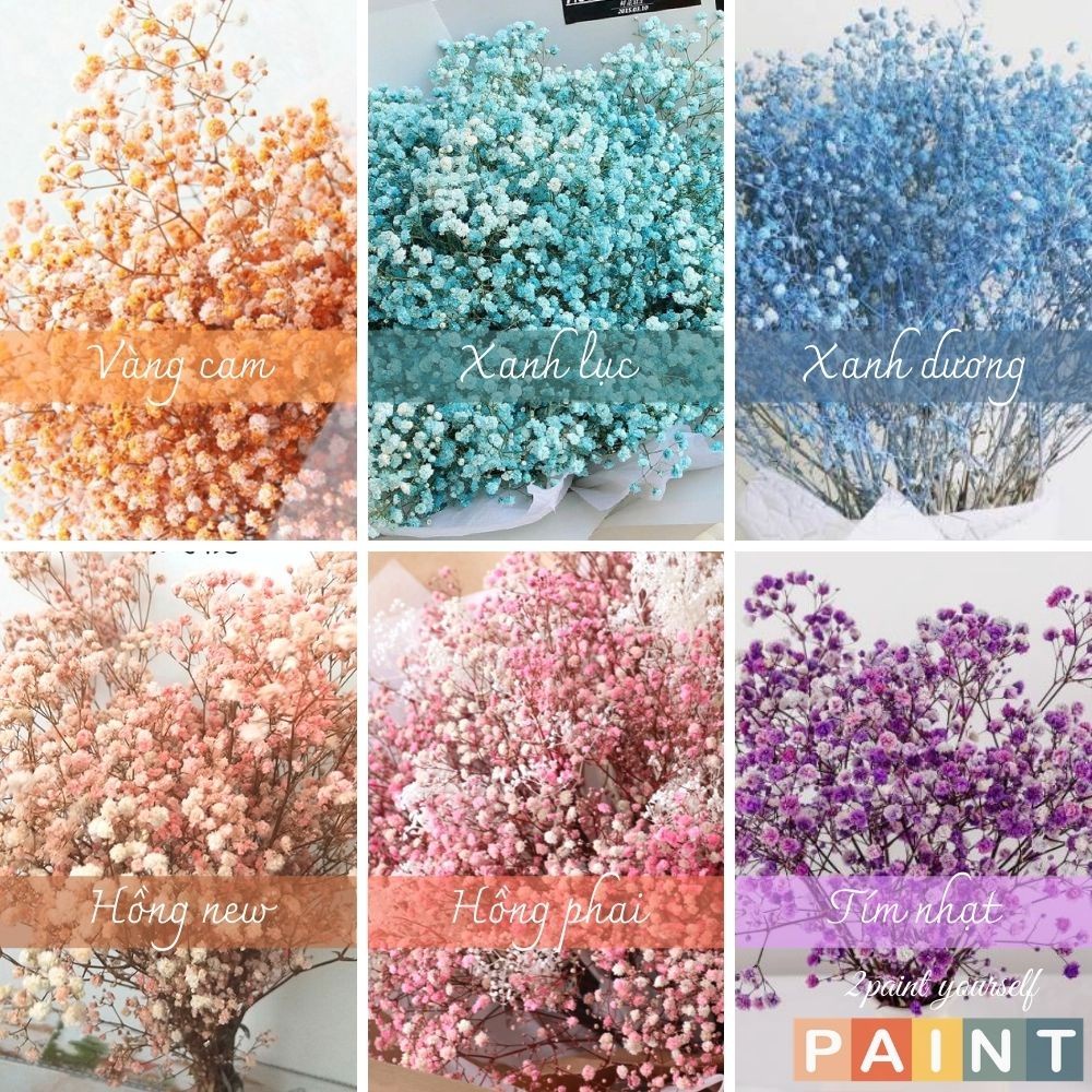 Hoa baby khô nhiều màu bó 5 đến 7 cành decor bình hoa gói hoa trang trí cafe, trà chanh, trà sữa, quán ăn hàng loại 1
