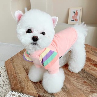 Áo cho thú cưng