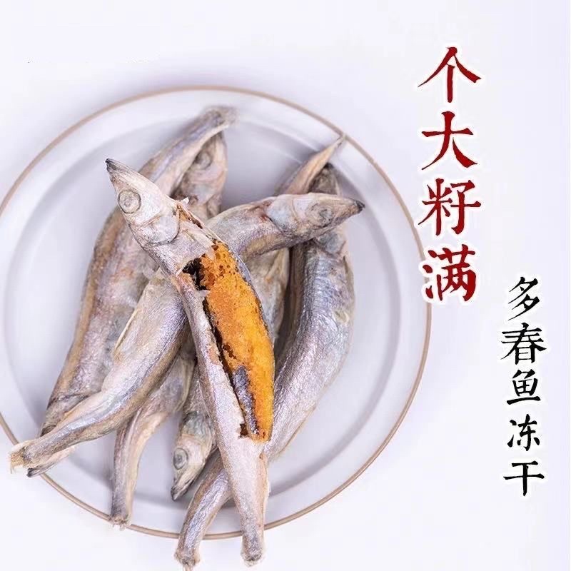 Cá trứng sấy cho mèo ngon lành bổ dưỡng