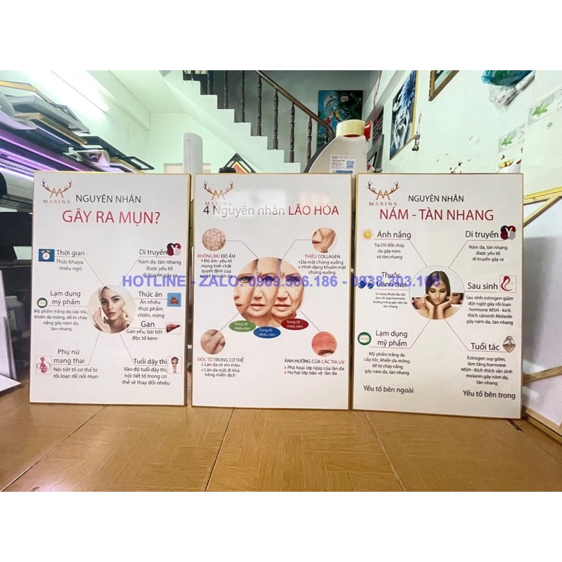 KHUNG TRANH SPA CHĂM SÓC DA SANG TRỌNG HIỆN ĐẠI CHO SPA- THẨM MỸ VIỆN