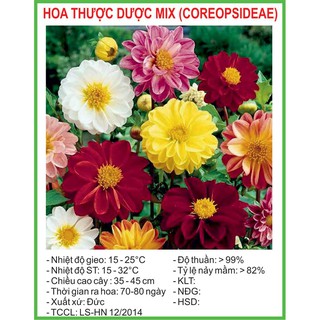 Hạt Giống Hoa thược dược Mix 50 Hạt/ Gói