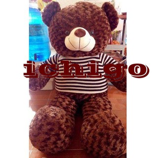 Gấu bông Teddy Nâu Đen khổ 1m giá rẻ bất giờ