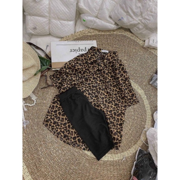 Set áo somi beo kèm quần ngố ( hình thật ở cuối ) alohashop91