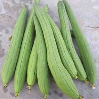 MƯỚP HƯƠNG THÁI QUẢ DÀI