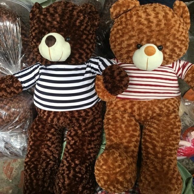 Gấu bông Teddy Cao Cấp  Cao 1m2 màu Nâu hàng Gấu Bông Gía Rẻ